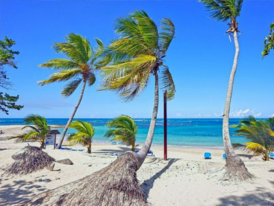 Port and tropical jungle